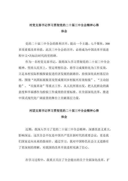 村党支部书记学习贯彻党的二十三中全会精神心得体会范本8篇（最新版）.docx