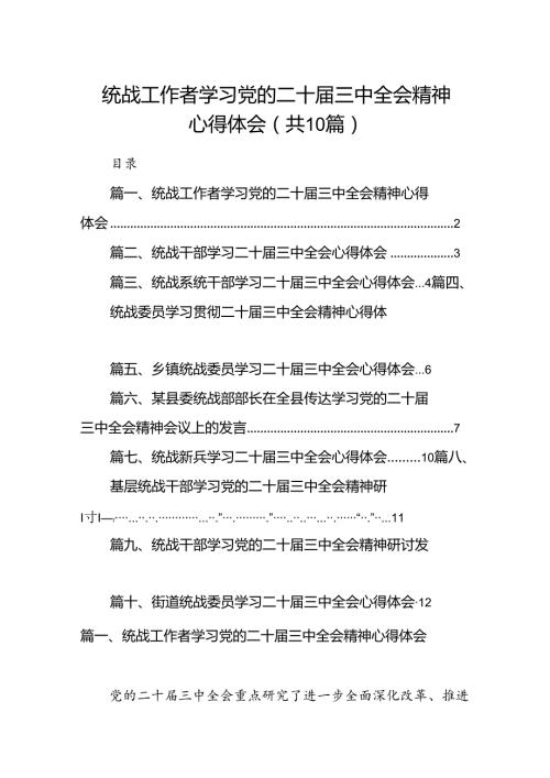 （10篇）统战工作者学习党的二十三中全会精神心得体会（精选）.docx