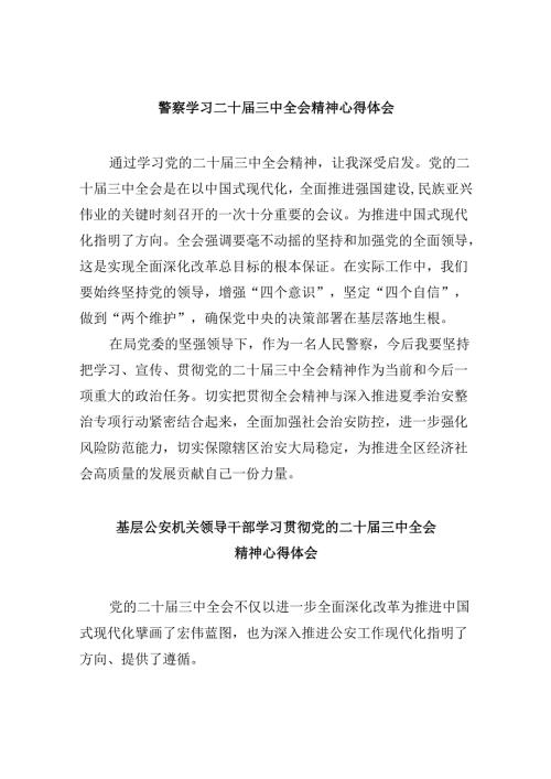 （11篇）警察学习二十三中全会精神心得体会汇编.docx