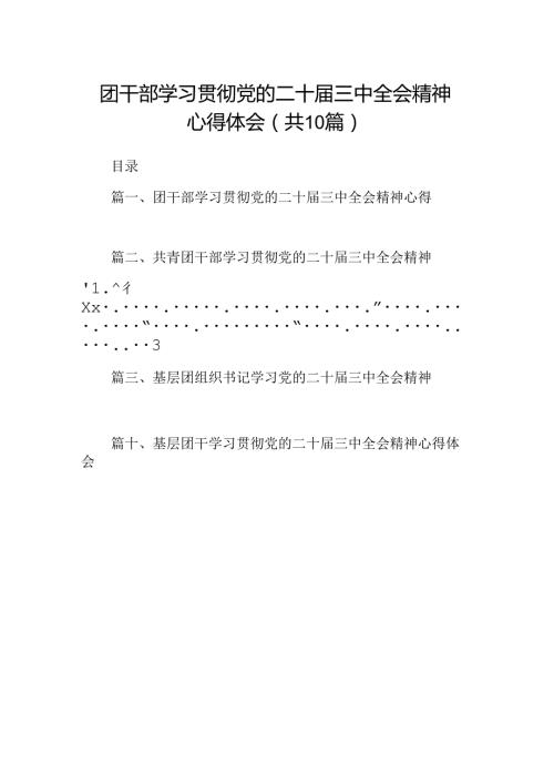 （10篇）团干部学习贯彻党的二十三中全会精神心得体会合计.docx
