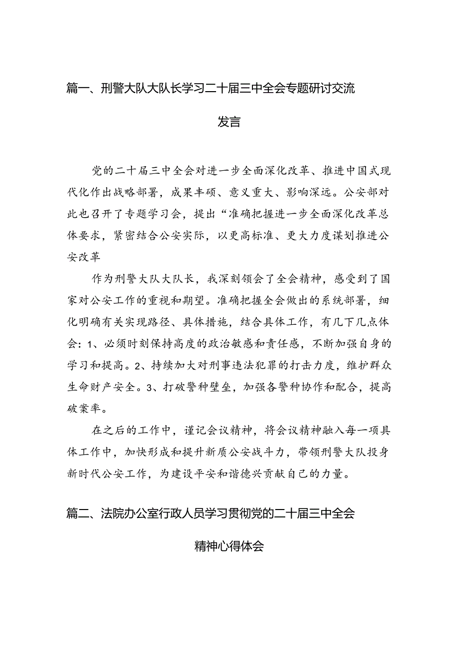 （11篇）刑警大队大队长学习二十三中全会专题研讨交流发言范文.docx_第2页