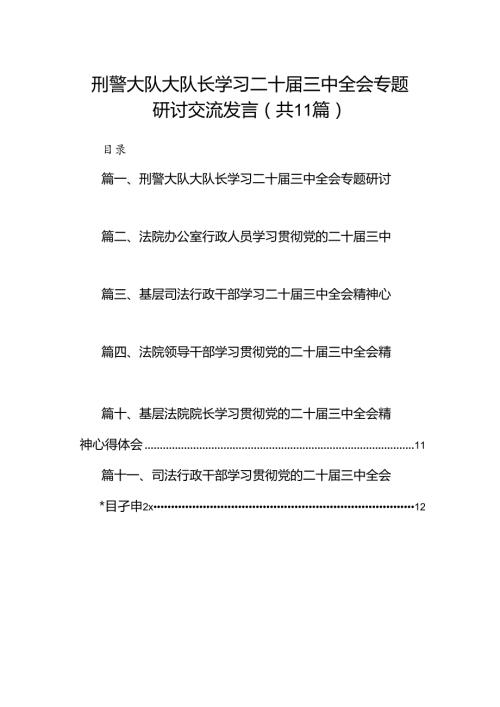 （11篇）刑警大队大队长学习二十三中全会专题研讨交流发言范文.docx