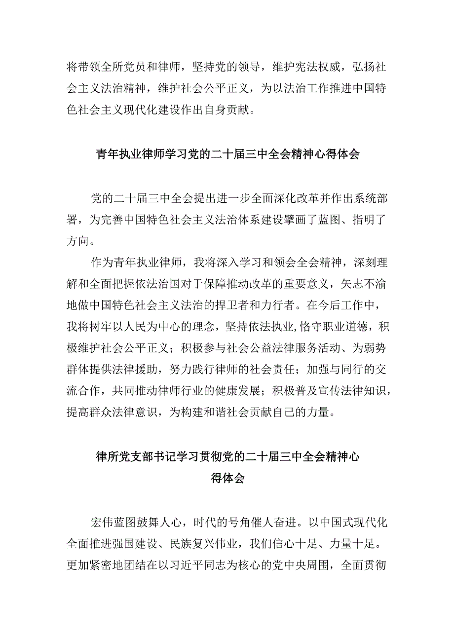 （9篇）法律工作者学习党的二十三中全会精神心得体会研讨发言（最新版）.docx_第2页