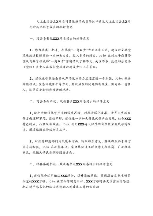 民主生活会上X同志对其他班子成员的批评意见.docx