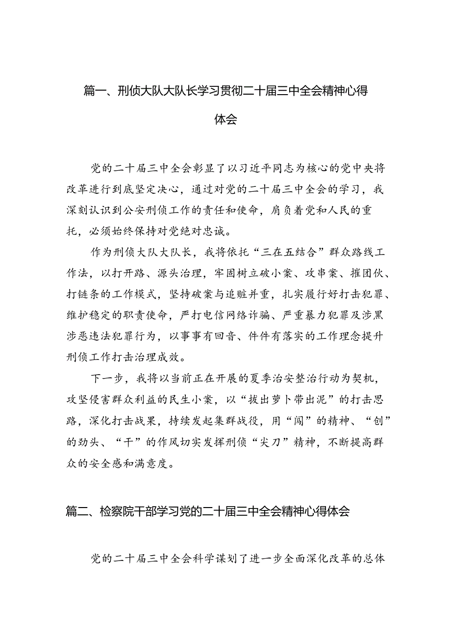 （15篇）刑侦大队大队长学习贯彻二十三中全会精神心得体会范文.docx_第2页