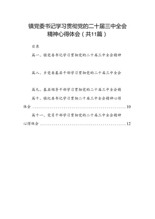 （11篇）镇党委书记学习贯彻党的二十三中全会精神心得体会最新资料.docx