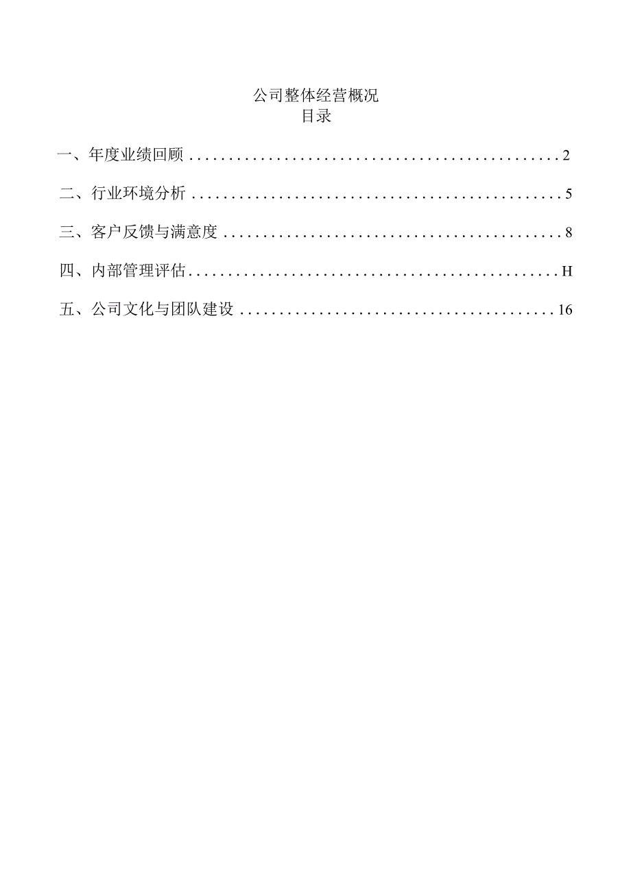公司整体经营概况.docx_第1页