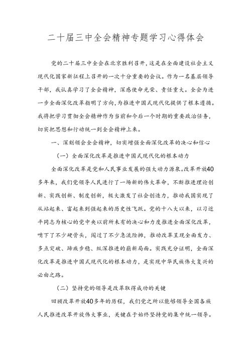 2024年党的二十三中全会精神专题学习心得体会.docx