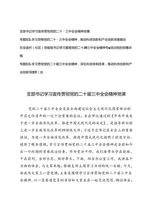 2024年10月支部书记学习宣传贯彻党的二十三中全会精神专题党课讲稿.docx