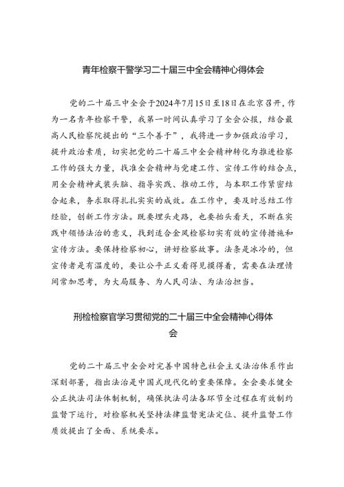 青年检察干警学习二十三中全会精神心得体会（共八篇选择）.docx