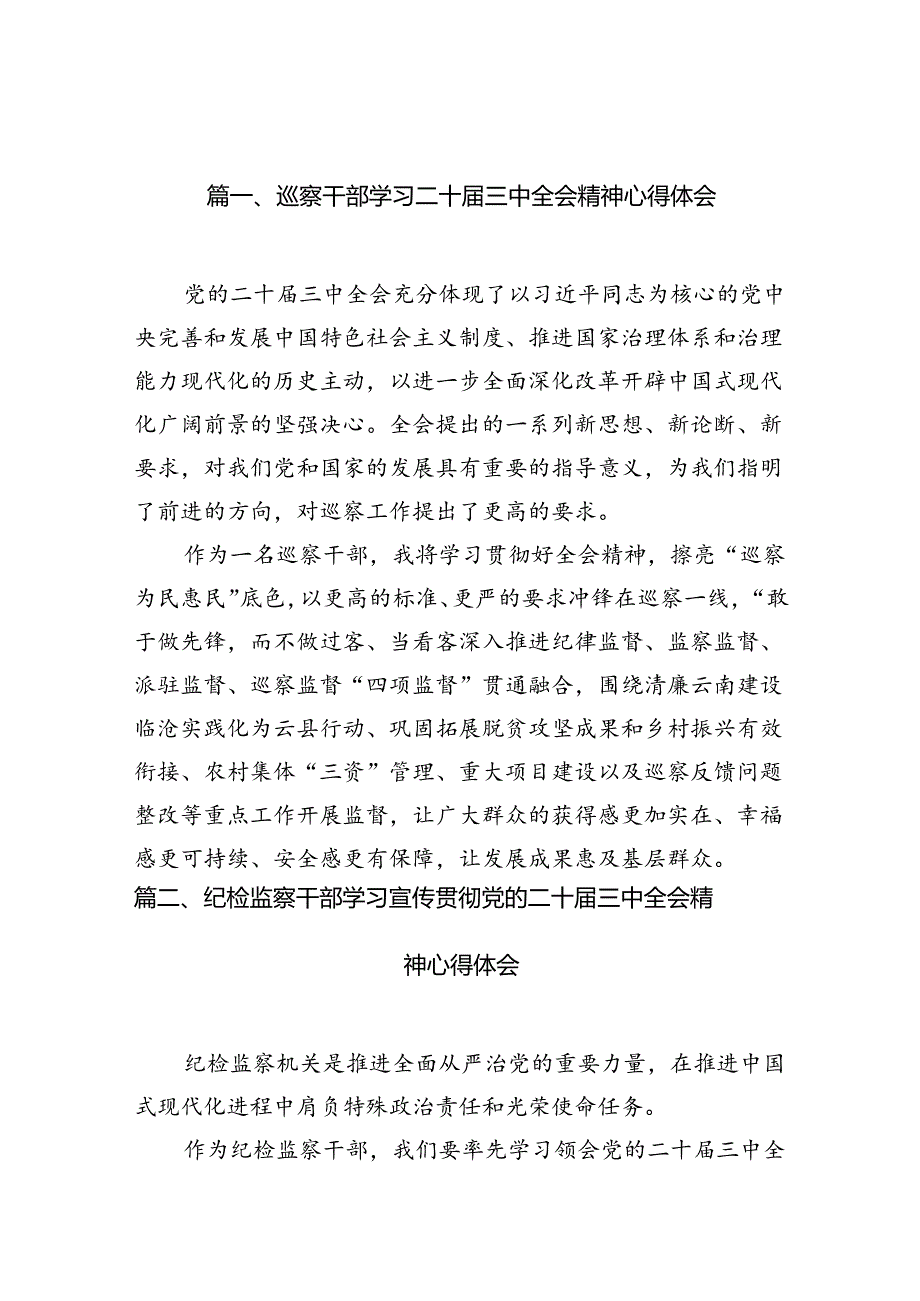 （10篇）巡察干部学习二十三中全会精神心得体会专题资料.docx_第2页