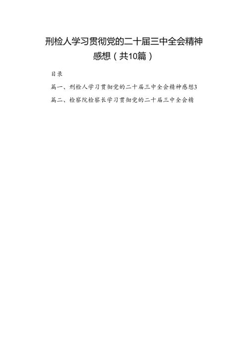 （10篇）刑检人学习贯彻党的二十三中全会精神感想范文.docx