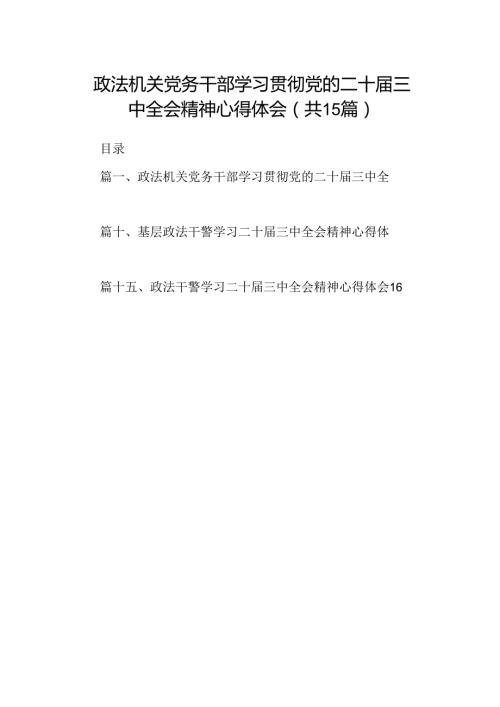 （15篇）政法机关党务干部学习贯彻党的二十三中全会精神心得体会范文.docx