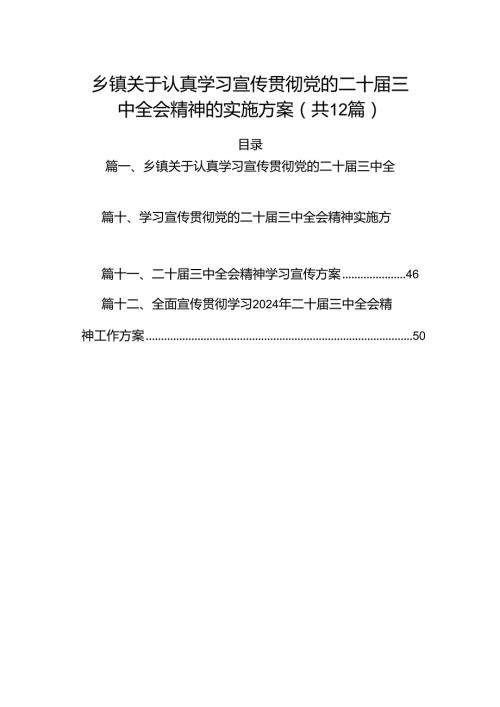 （12篇）乡镇关于认真学习宣传贯彻党的二十三中全会精神的实施方案（详细版）.docx