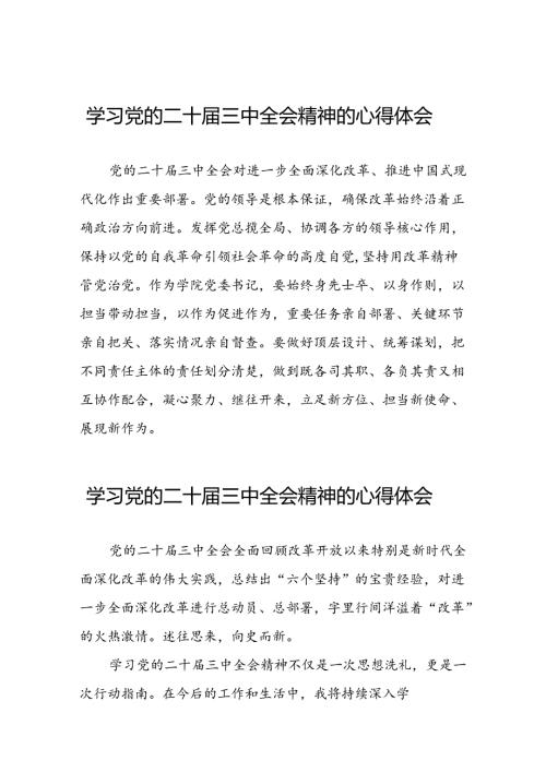 党员干部关于二十三中全会精神心得体会简短发言四十篇.docx