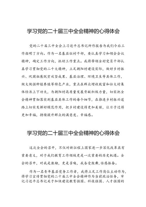 党员干部学习中国共产党第二十中央委员会第三次全体会议精神心得体会四十篇.docx