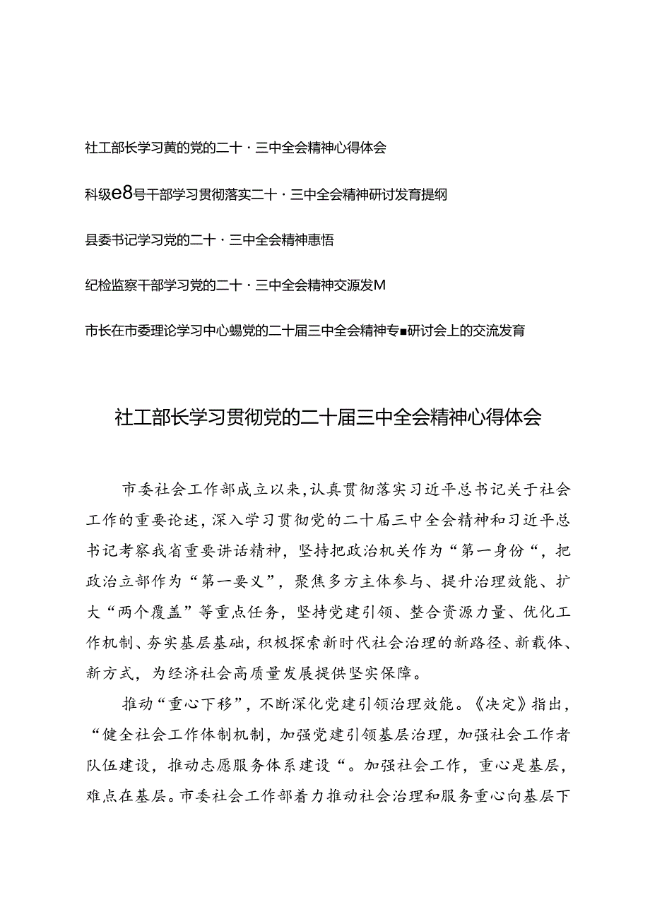 5篇 2024年8月纪检监察干部、部长、领导干部、市长、县委书记学习党的二十三中全会精神交流发言材料.docx_第1页