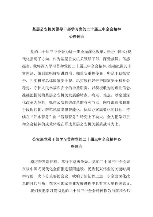（11篇）基层公安机关领导干部学习党的二十三中全会精神心得体会范文.docx