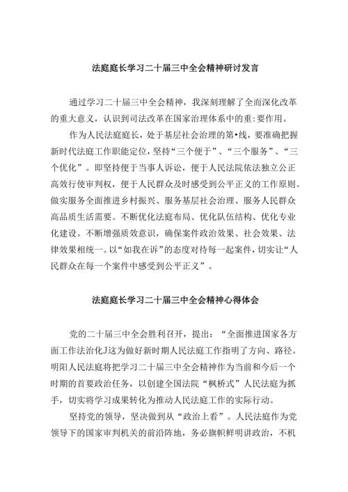 （11篇）法庭庭长学习二十三中全会精神研讨发言范文.docx