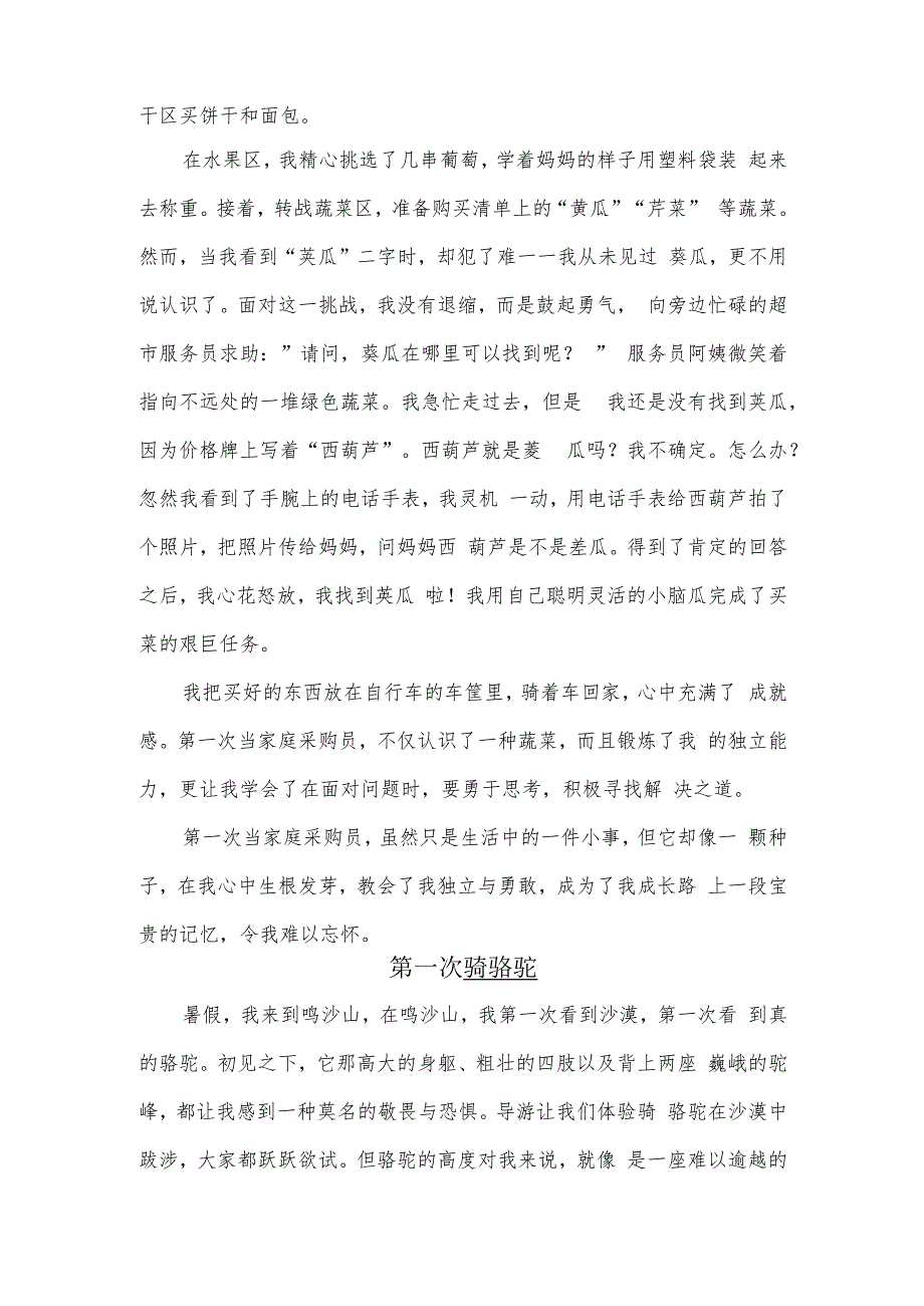 第一次XX（作文）.docx_第3页