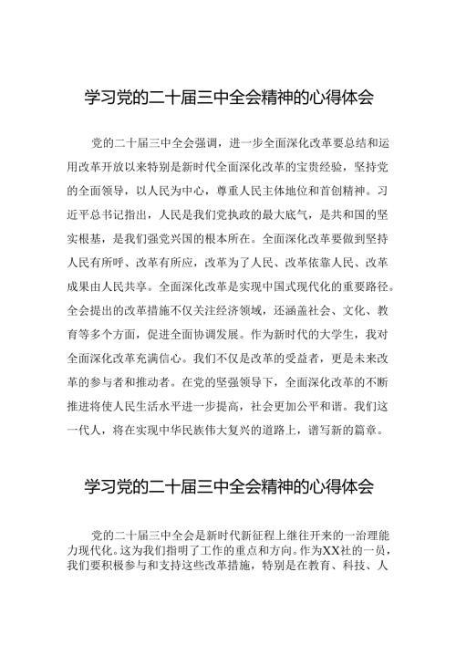 2024年学习二十三中全会精神心得感悟模板四十篇.docx