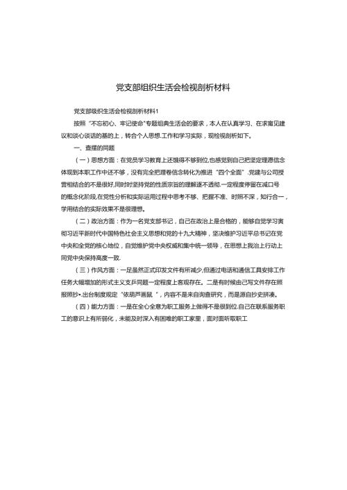 党支部组织生活会检视剖析材料.docx