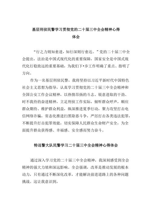 （11篇）基层刑侦民警学习贯彻党的二十三中全会精神心得体会范本.docx