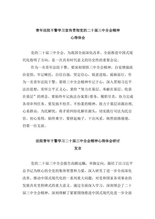 （12篇）青年法院干警学习宣传贯彻党的二十三中全会精神心得体会（精选）.docx