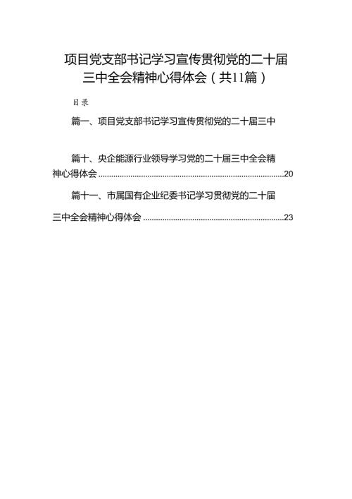 （11篇）项目党支部书记学习宣传贯彻党的二十三中全会精神心得体会（精选）.docx