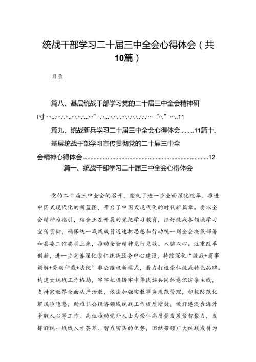 （10篇）统战干部学习二十三中全会心得体会（精选）.docx