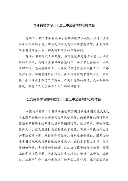 青年民警学习二十三中全会精神心得体会优选8篇.docx