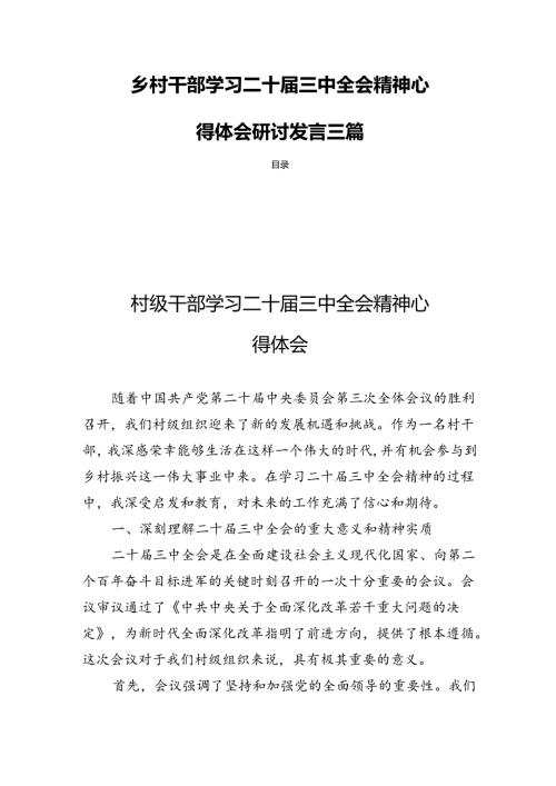 乡村干部学习二十三中全会精神心得体会研讨发言三篇.docx