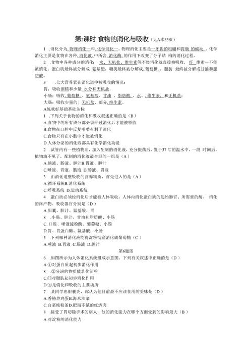 第4章 代谢与平衡 第2节 食物的消化与吸收 第2课时 食物的消化与吸收.docx