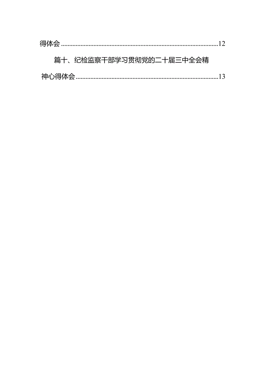 （10篇）青年纪检监察干部学习二十三中全会精神研讨发言（精选）.docx_第2页