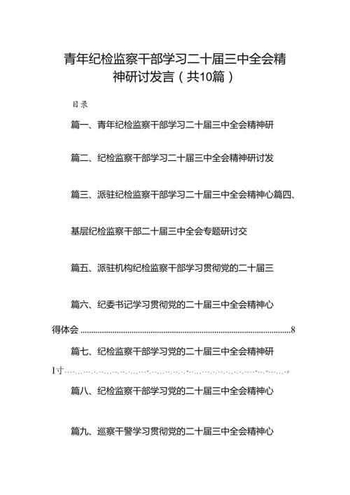 （10篇）青年纪检监察干部学习二十三中全会精神研讨发言（精选）.docx