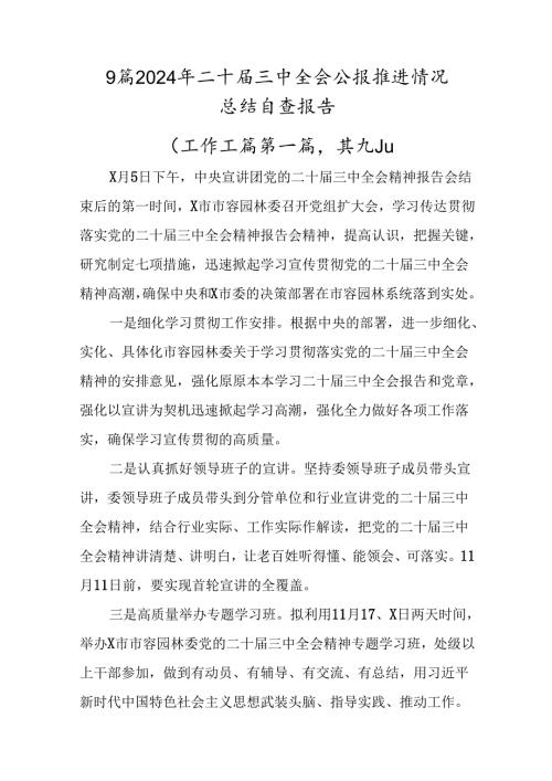 9篇2024年二十三中全会公报推进情况总结自查报告.docx