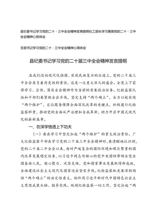 3篇 县纪委书记、支部书记、社工部长学习党的二十三中全会精神发言提纲交流发言材料.docx