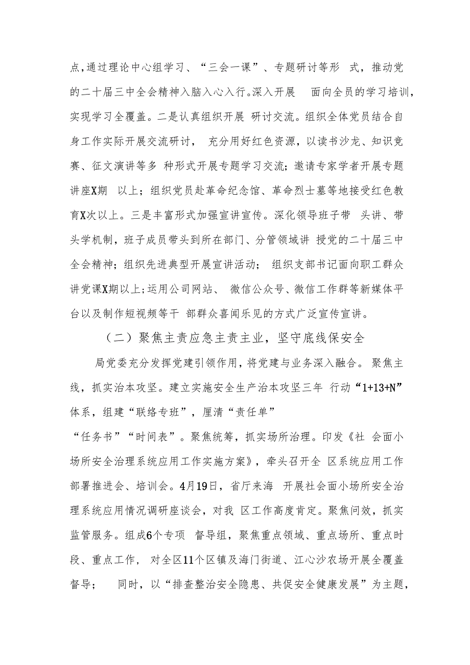 应急管理局2024年党建工作总结.docx_第2页