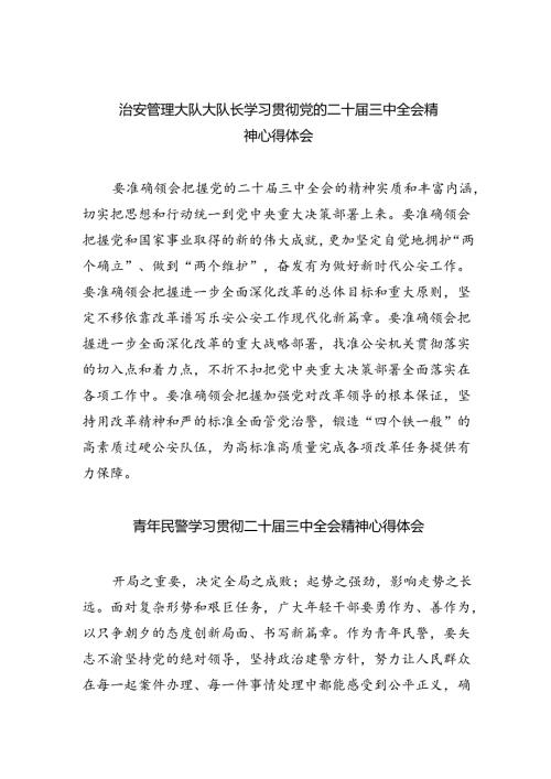 （9篇）治安管理大队大队长学习贯彻党的二十三中全会精神心得体会（详细版）.docx