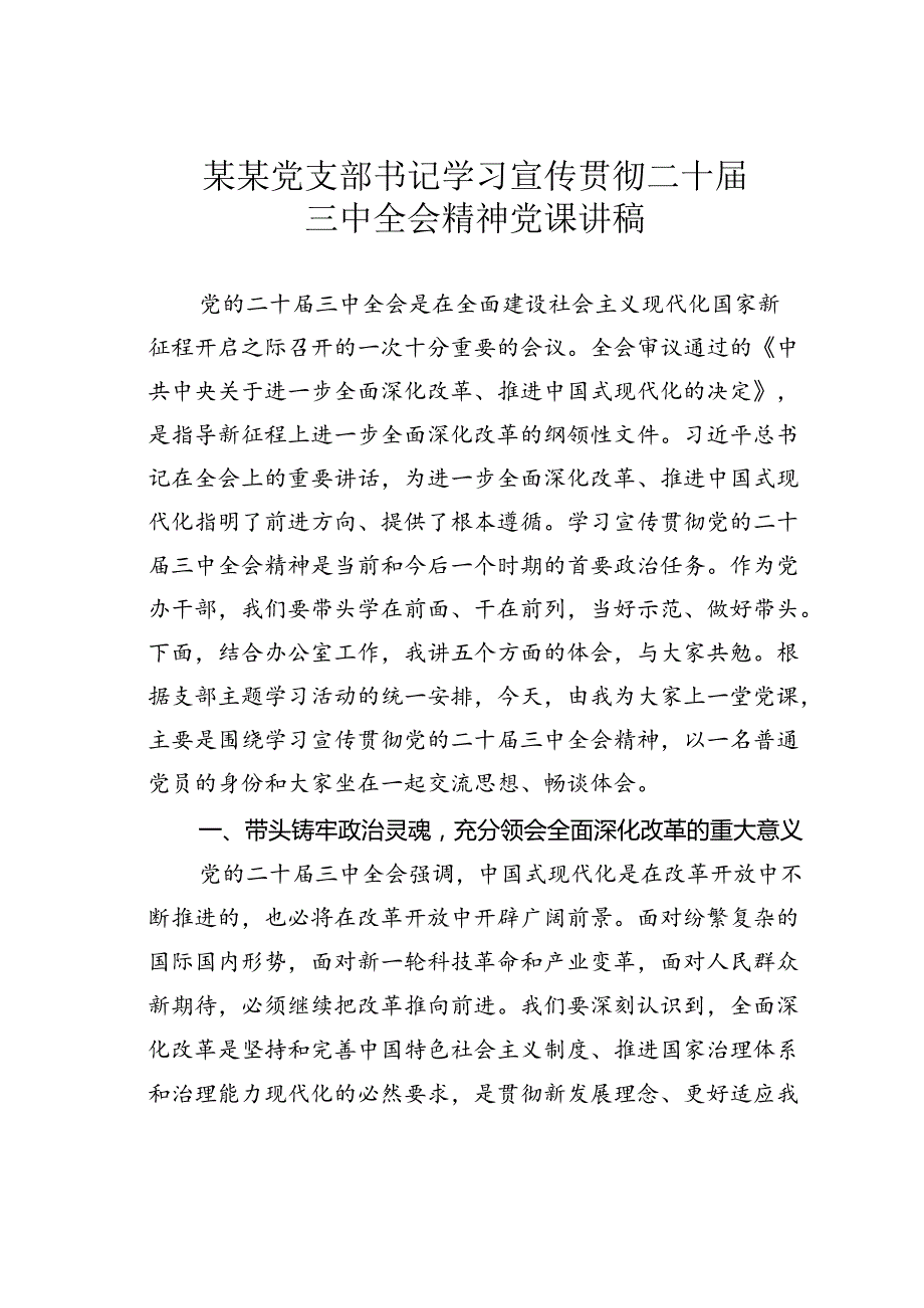 某某党支部书记学习宣传贯彻二十三中全会精神党课讲稿.docx_第1页