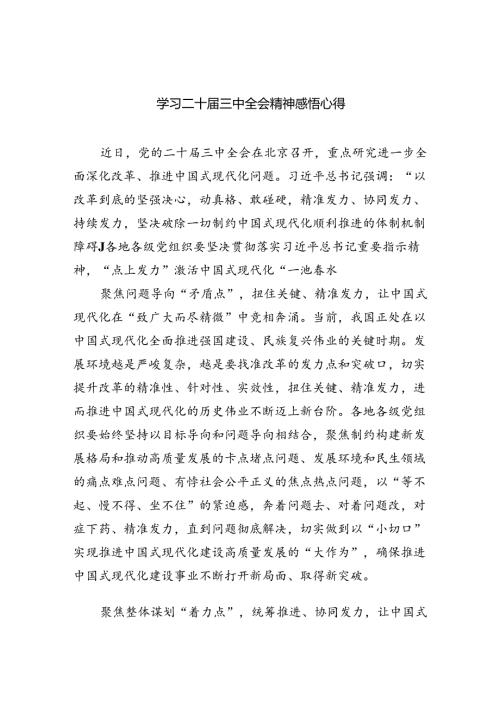 （9篇）学习二十三中全会精神感悟心得合计.docx