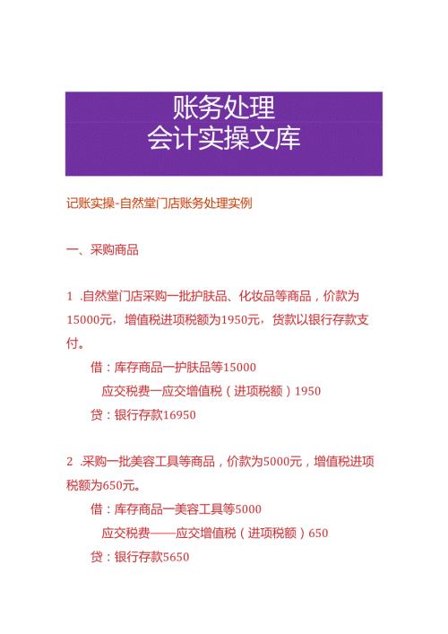 记账实操自然堂门店账务处理实例.docx
