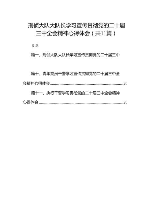 （11篇）刑侦大队大队长学习宣传贯彻党的二十三中全会精神心得体会（详细版）.docx