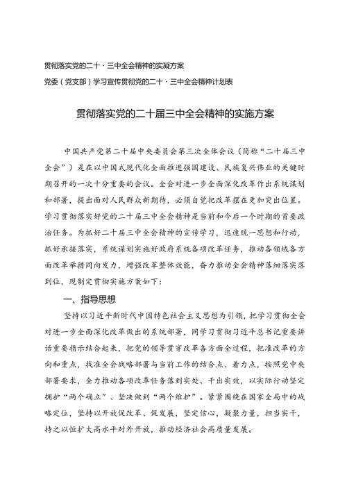 4篇 2024年贯彻落实党的二十三中全会精神的实施方案+党委(党支部)学习宣传党的二十三中全会精神计划表.docx