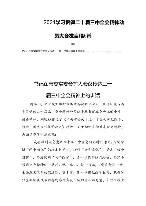 2024学习贯彻二十三中全会精神动员大会发言稿6篇.docx