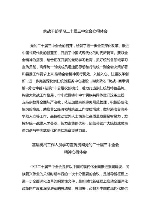 统战干部学习二十三中全会心得体会（共五篇）.docx