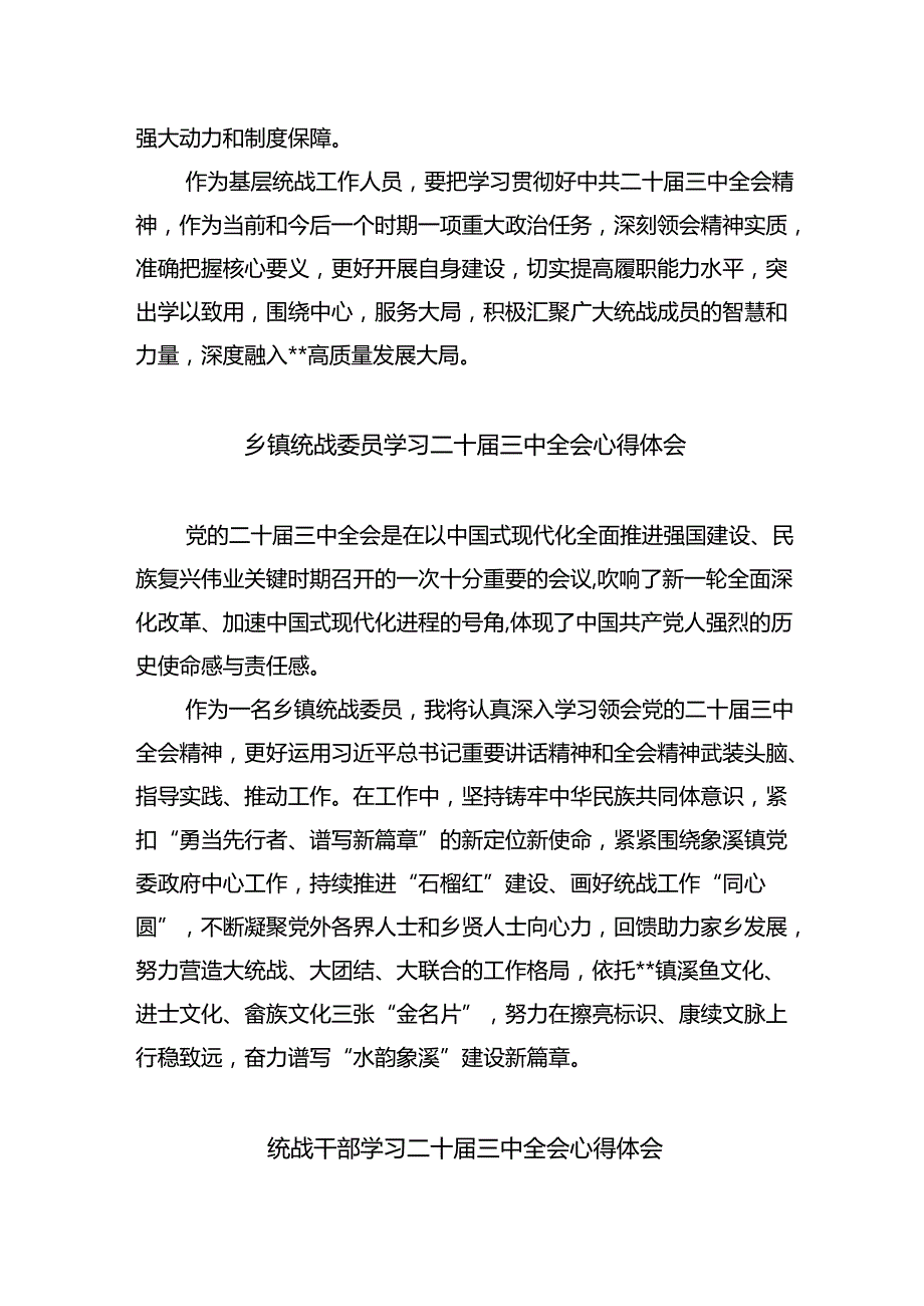 统战干部学习二十三中全会心得体会（共五篇）.docx_第2页