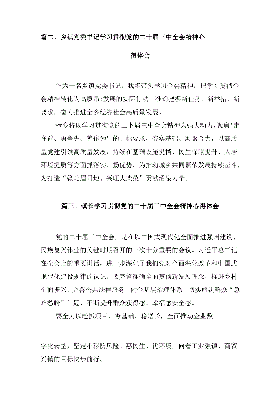 (八篇)基层乡镇长学习二十三中全会精神研讨发言（精选）.docx_第2页