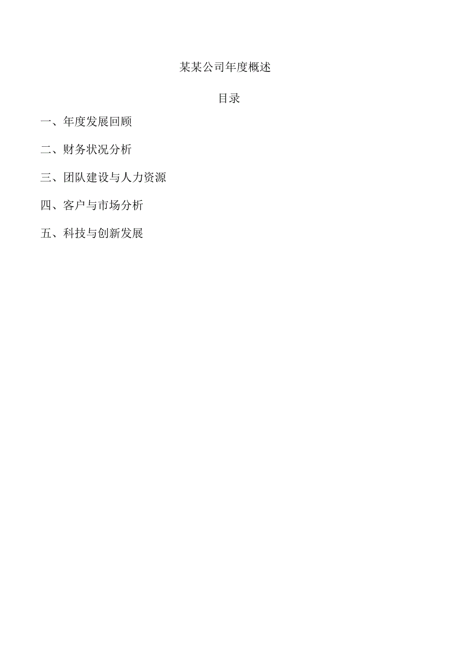 某某公司概述.docx