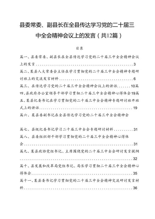 县委常委、副县长在全县传达学习党的二十三中全会精神会议上的发言12篇（精选）.docx